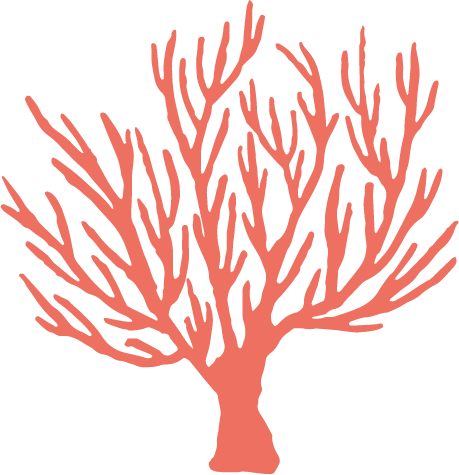 Coral Ceramics