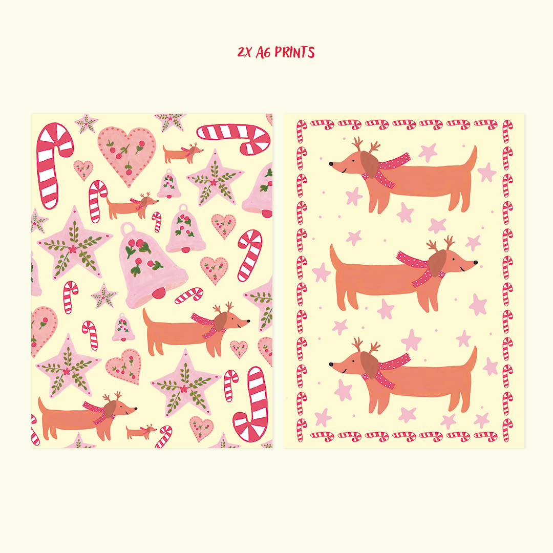 Coral Club - Snail Mail - Free shipping